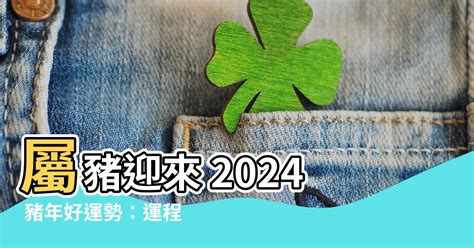 2024豬年運程1959|2024 肖豬流年運程 